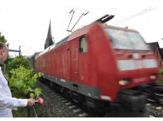 Pro Rheintal fordert: Handeln statt reden!