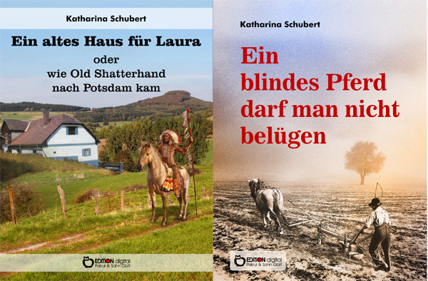 Weltgeschichte in der Eifel - Literarisches Gesamtwerk von Katharina Schubert als E-Book