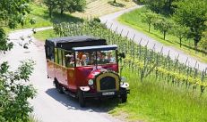 „Kultur & Kulinarisches“ – Mit dem Oldiebus durch das Weinland Remstal
