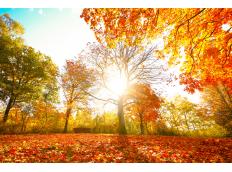 Parfüm Highlights Herbst 2013