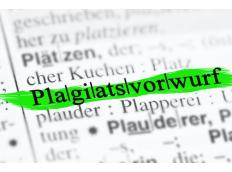 Die Plagiatsvorwürfe gegen Frank-Walter Steinmeier
