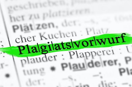 Die PlagiatsvorwÃ¼rfe gegen Frank-Walter Steinmeier