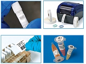Laborproben kennzeichnen mit dem Etikettendrucker BBP11-300