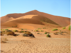 Follow Us Erlebnisreisen schickt seine Kunden in die Wüste