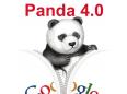 Panda 4.0 Update - Google räumt wieder auf in den Suchergebnissen