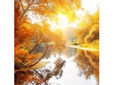 Die Parfüm-Trends für den Herbst 2014 versprühen aromatische Düfte der Natur