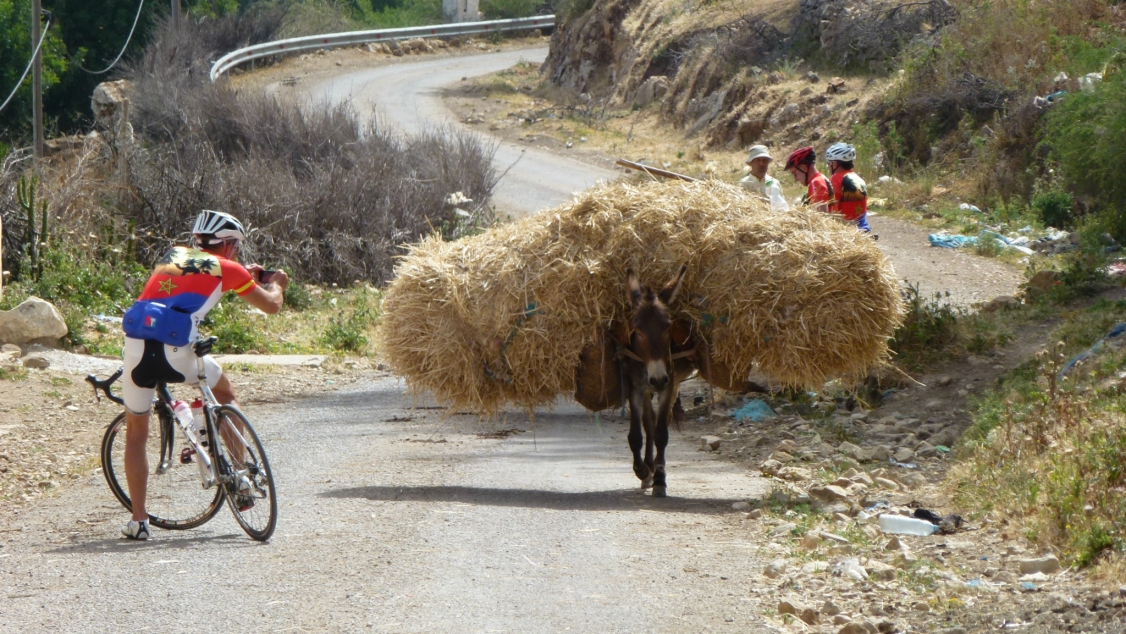 Auf den Spuren von Tausendundeiner Nacht: Radfernreise von Spanien nach Marokko
