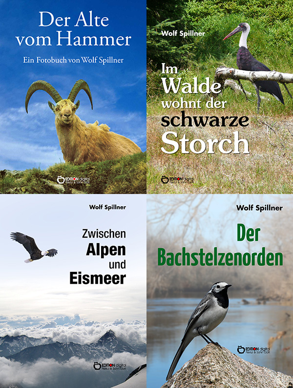 Geschichten von Menschen und von Tieren - EDITION digital bringt 16 Bücher von Wolf Spillner heraus