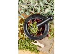 Würzige Kräuter der Provence: die Geschichte dahinter