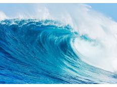 Diese Parfüms versprühen erfrischende Meeresbrisen an heißen Tagen!