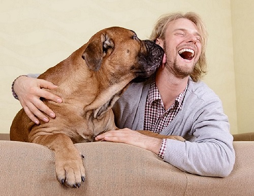 So empfindet der Hund die ParfÃ¼m-Welt des Menschen!