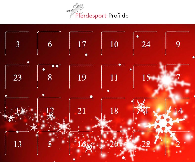 Pferdesport-Profi.de Adventskalender