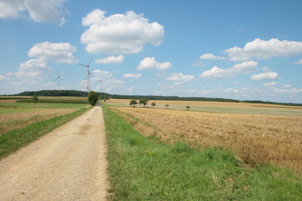 Genehmigung für bayerischen Windpark Bürgerwald von Green City Energy erteilt