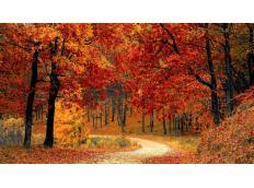 Indian Summer - Mode trifft Herbst