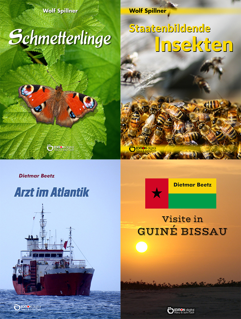 Fliegende RitterrÃ¼stungen, ein Arzt unterwegs und ein Schicksalsbericht â€“ FÃ¼nf E-Books von Freitag bis Freitag zum Sonderpreis