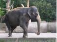 Auf Entdeckungsreise im Kölner Zoo
