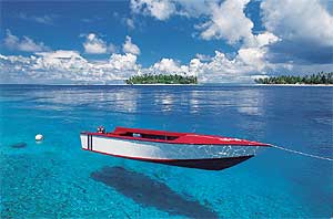tahiti Tahiti: Mit Zitronenhaien, Buckelwalen und Leopardenrochen tauchen