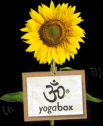 Yogabox - Dein Yogashop für Yoga-Zubehör